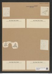 Diatomeae indet. Zeichnungen Sammlung Grunow Nr. 6890 (NHMW-BOT-W0375755)